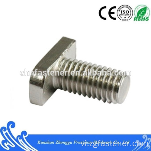 Thép không gỉ tùy chỉnh đầu vuông T Bolt